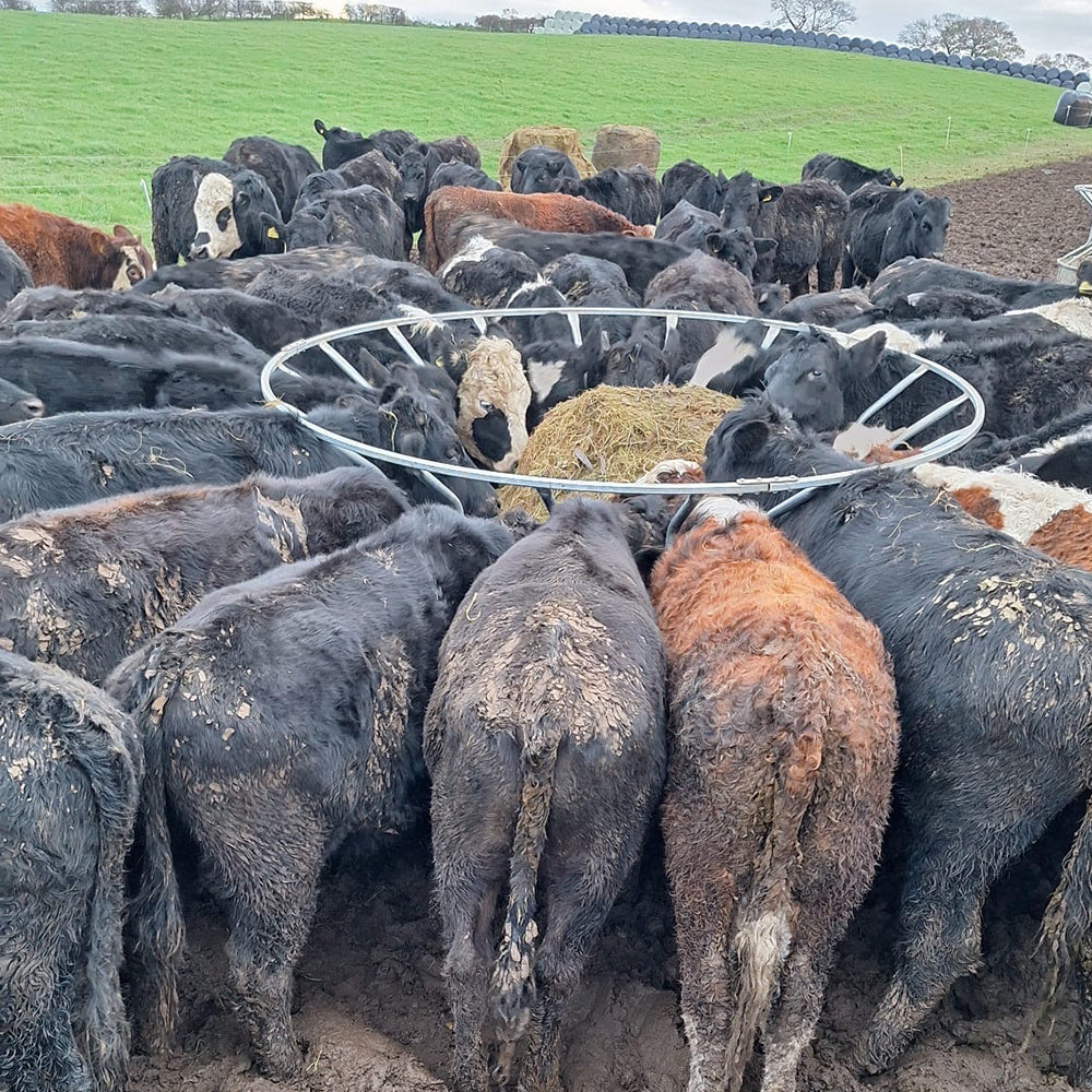 Feeding
