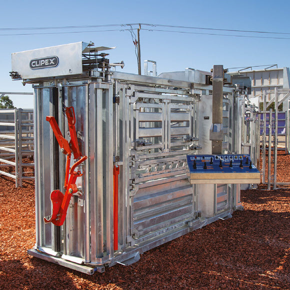 Clipex cattle offer image