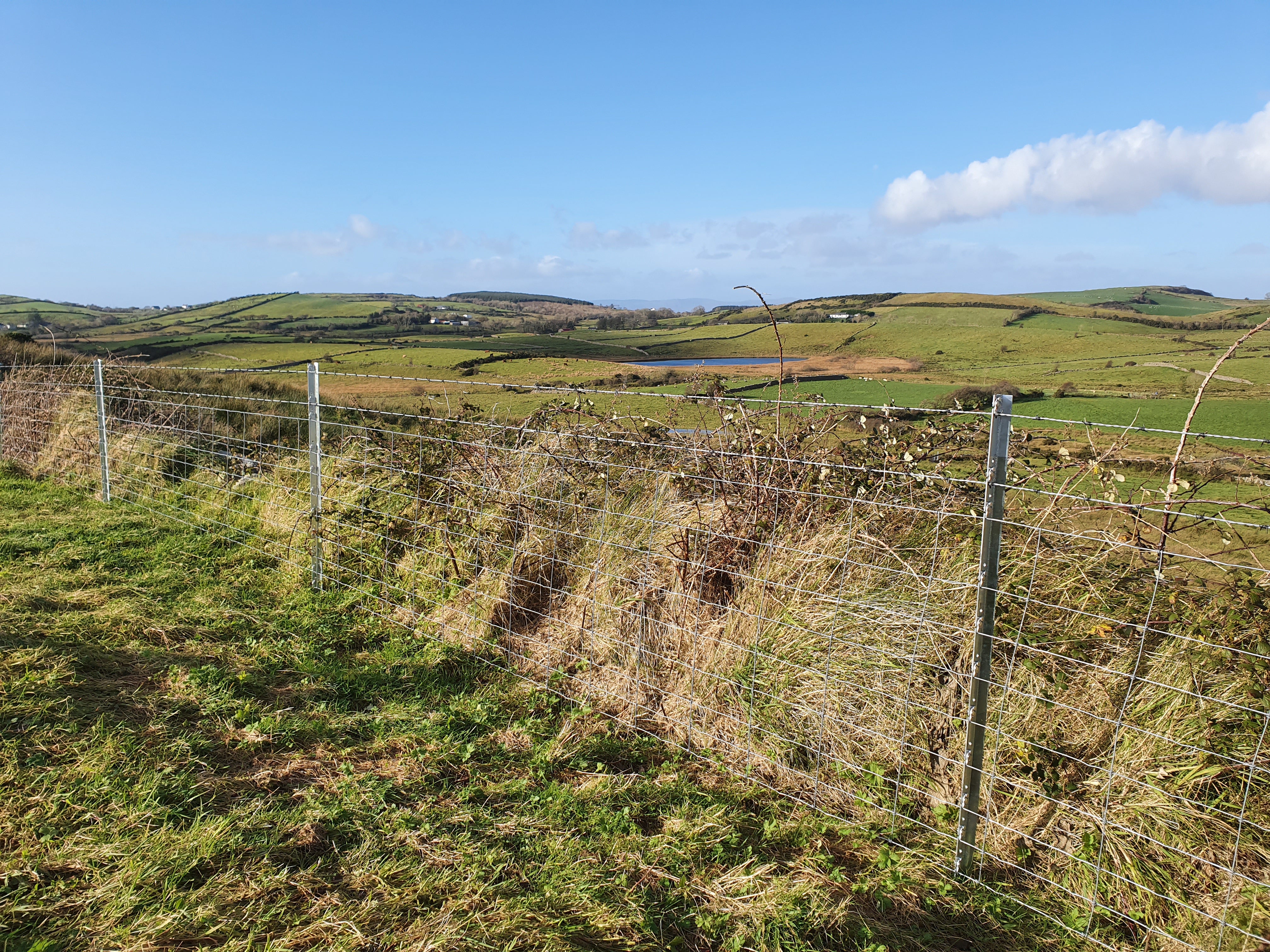 Clipex Fencing