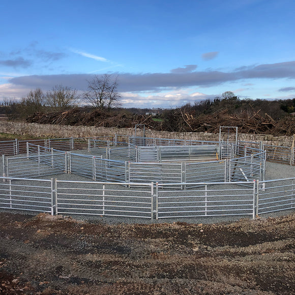 Clipex sheep offer image