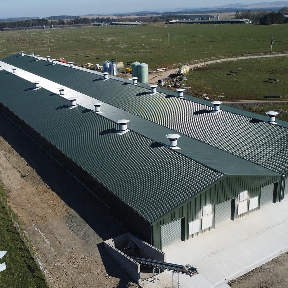 Poultry Sheds