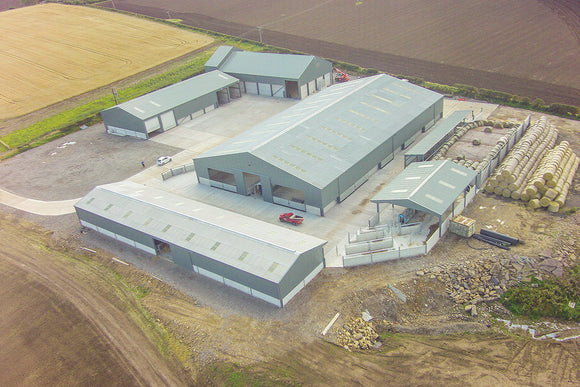 Which Steel Building should you choose?