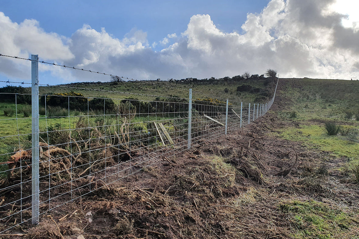 Why Should You Invest in Clipex Fencing?
