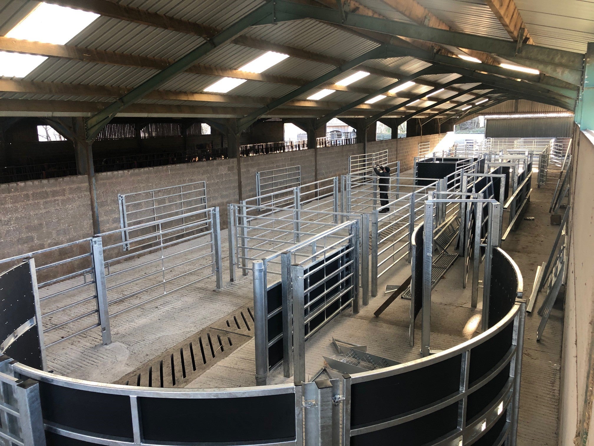 Bespoke Cattle Handling Systems for UK Farms | Thorburn Group