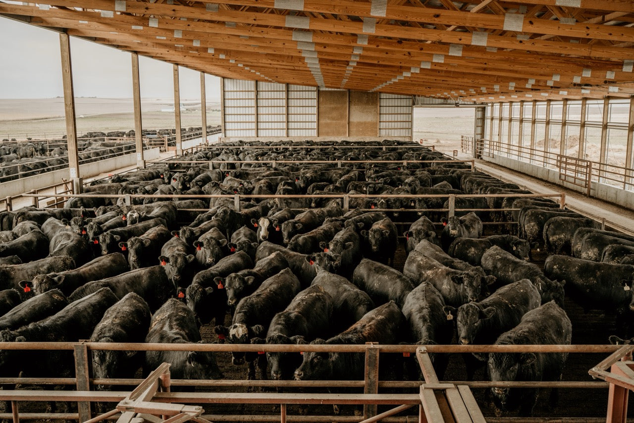 A7r00305 2 large 0146a1df 6a9c 4266 9e0b 36e3a311b839