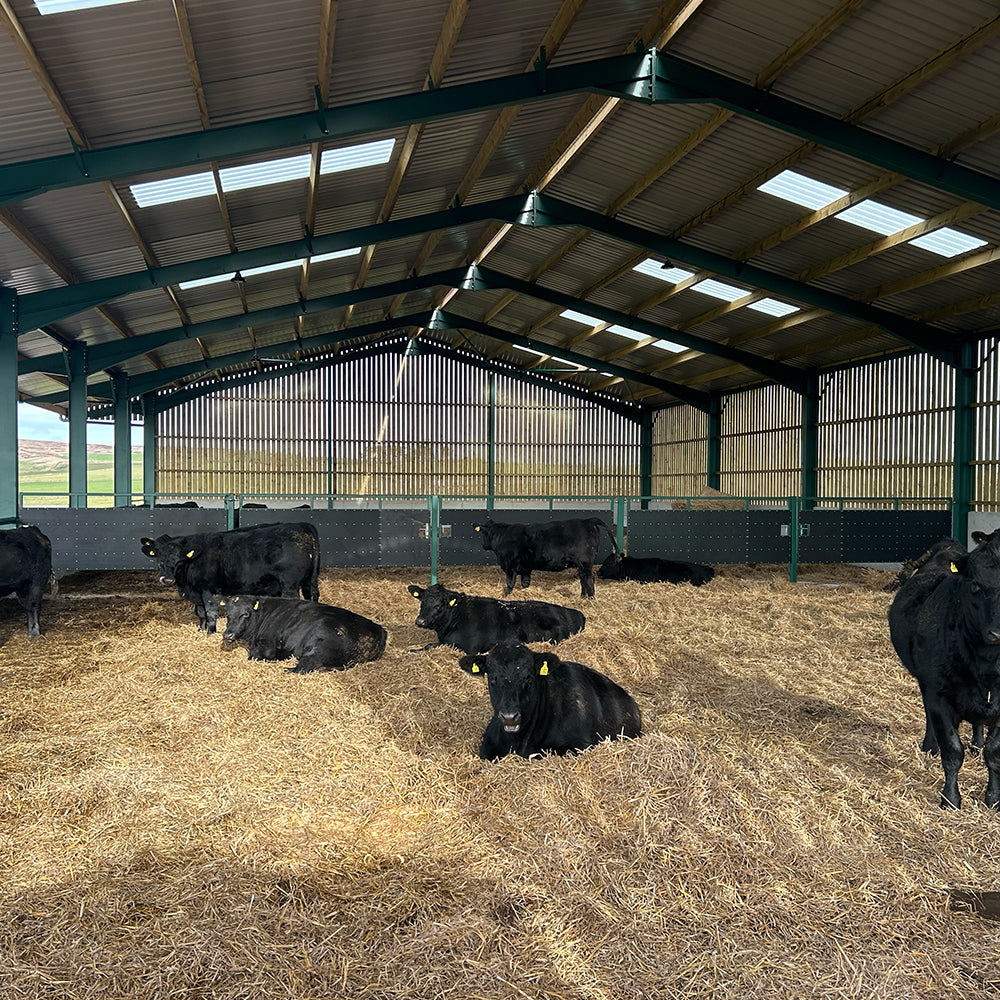 Cattle court 28ea0c33 3c24 4ecd 96a6 dd77e927a2e0