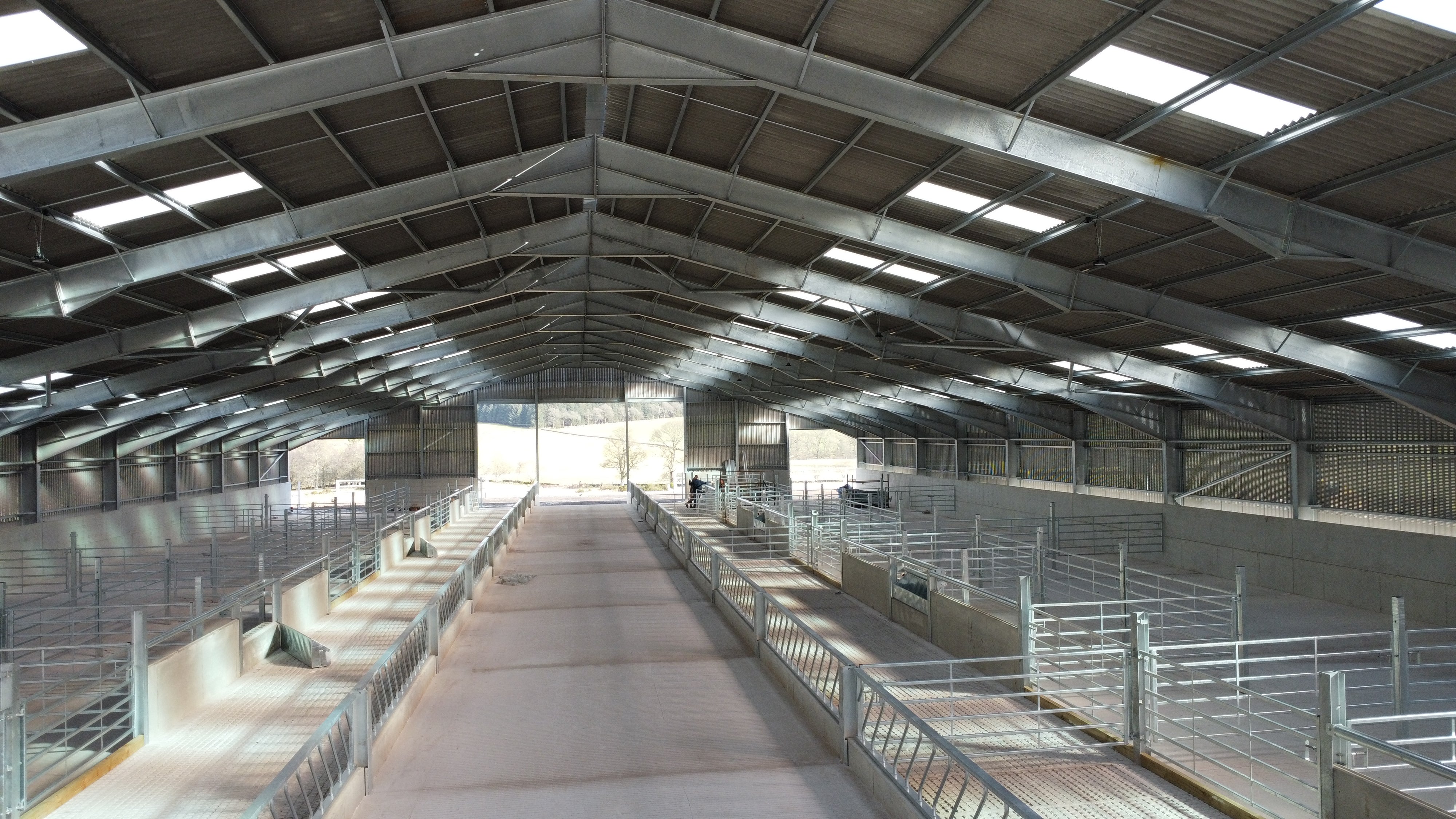 Cattle court internals