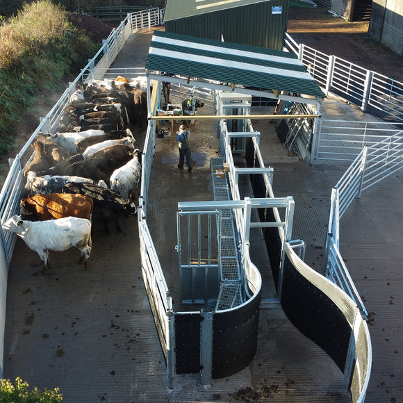 Cattle handling system