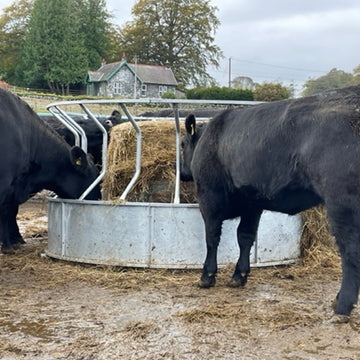 Premier Cattle Ring Feed Saver - 0