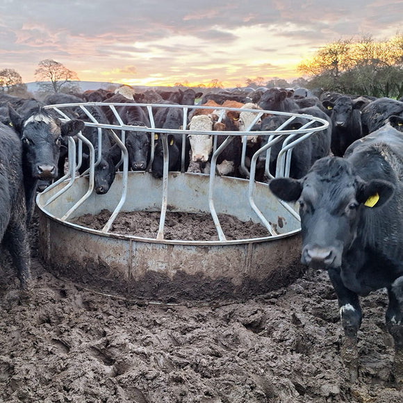 Premier Cattle Ring Feed Saver