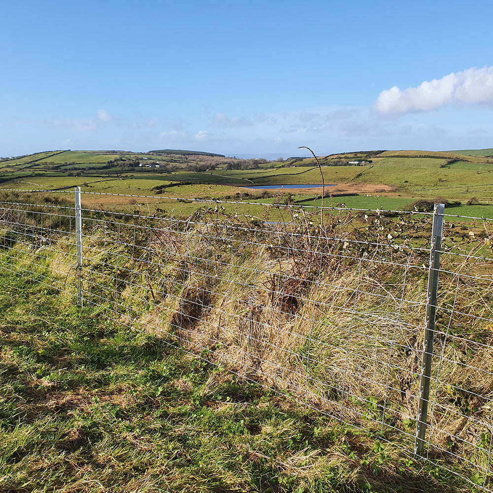 Clipex fencing example 16
