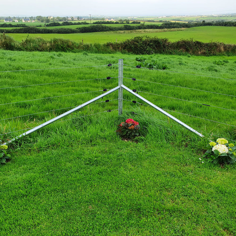 Clipex fencing example 6