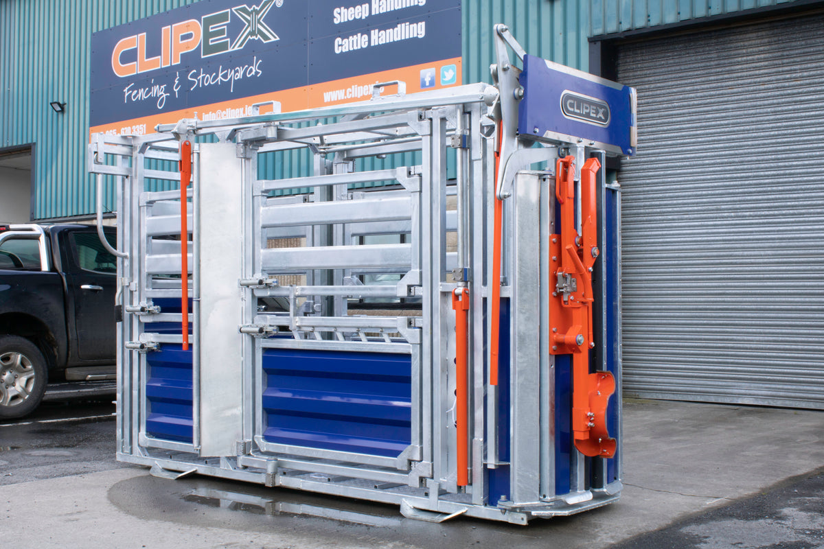 Bespoke Cattle Handling Systems for UK Farms | Thorburn Group