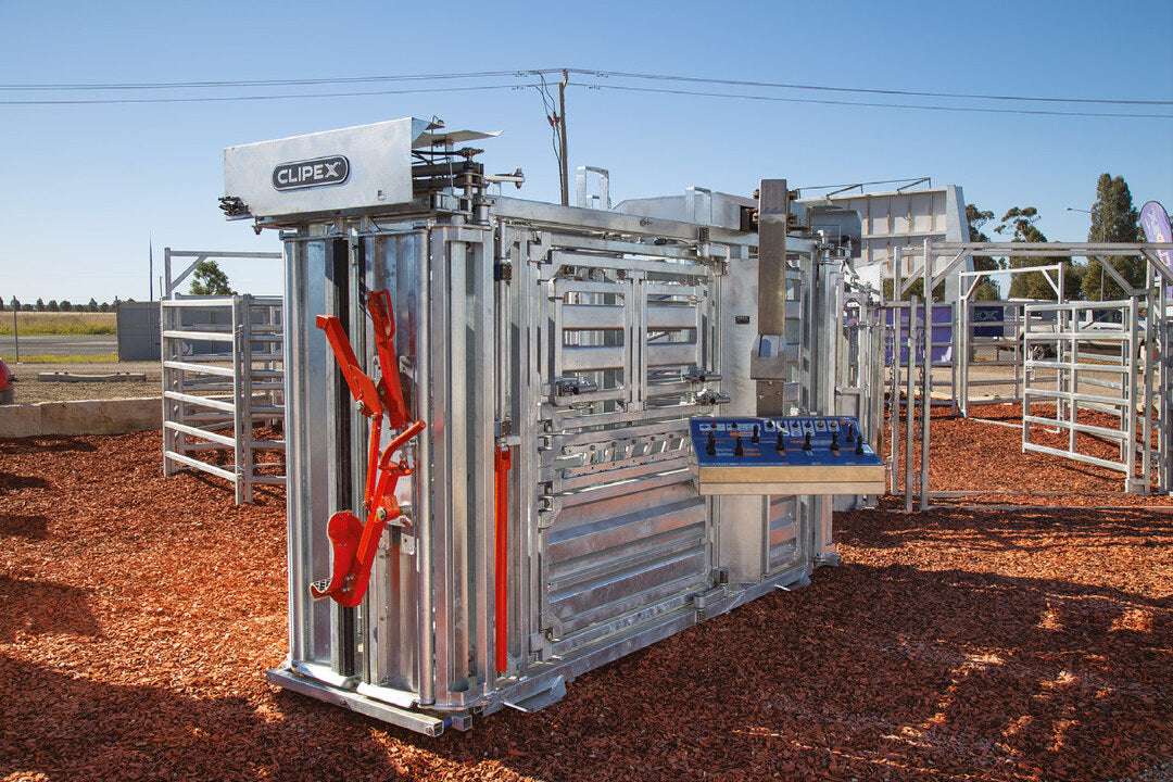 Clipex image 589807d6 1dbf 4742 b6bb eb825729fda4