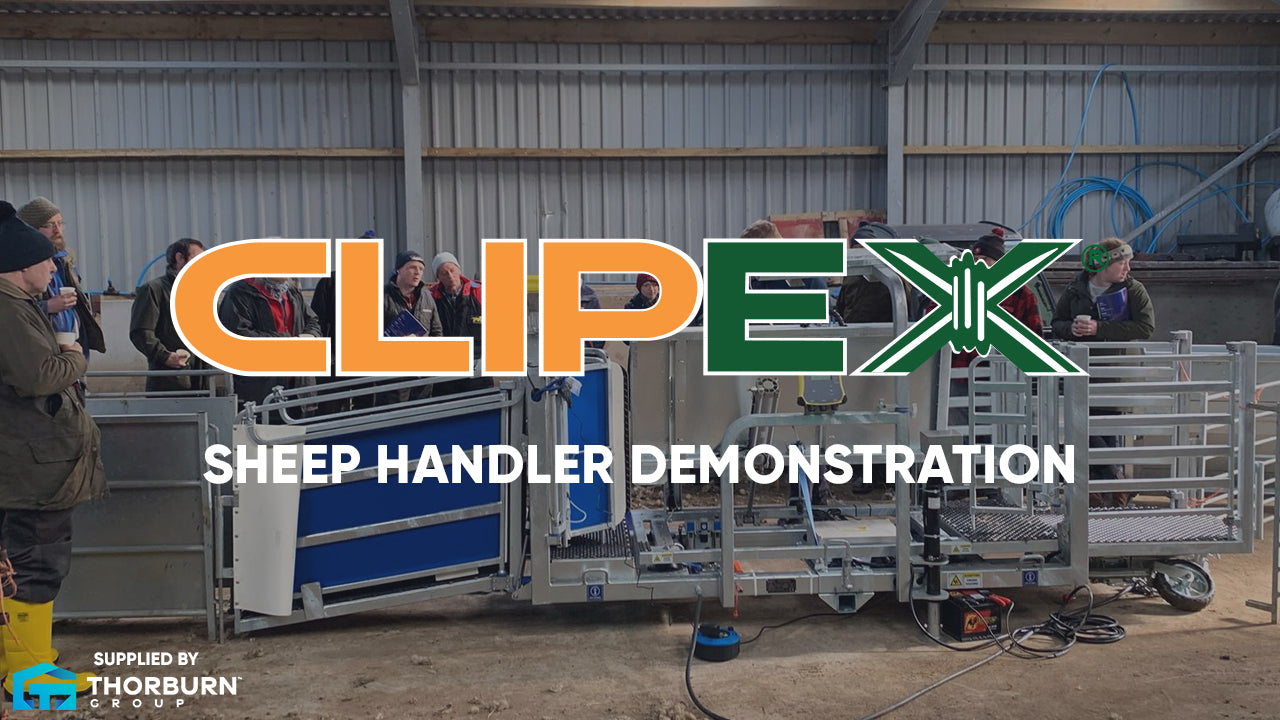 Watch the Clipex Sheep Handler in action