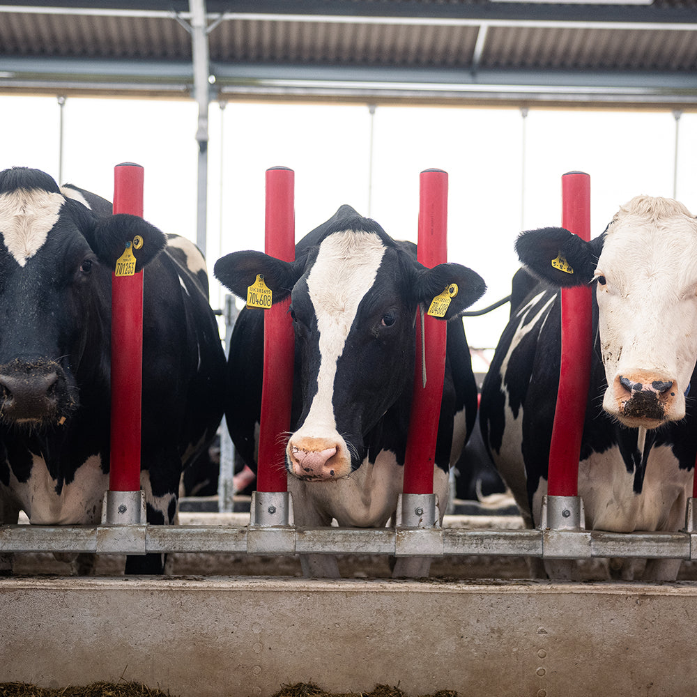 Easyfix   category image1