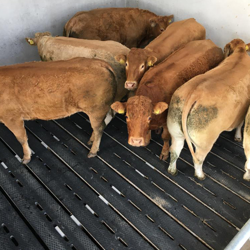 Easyfix   category image11