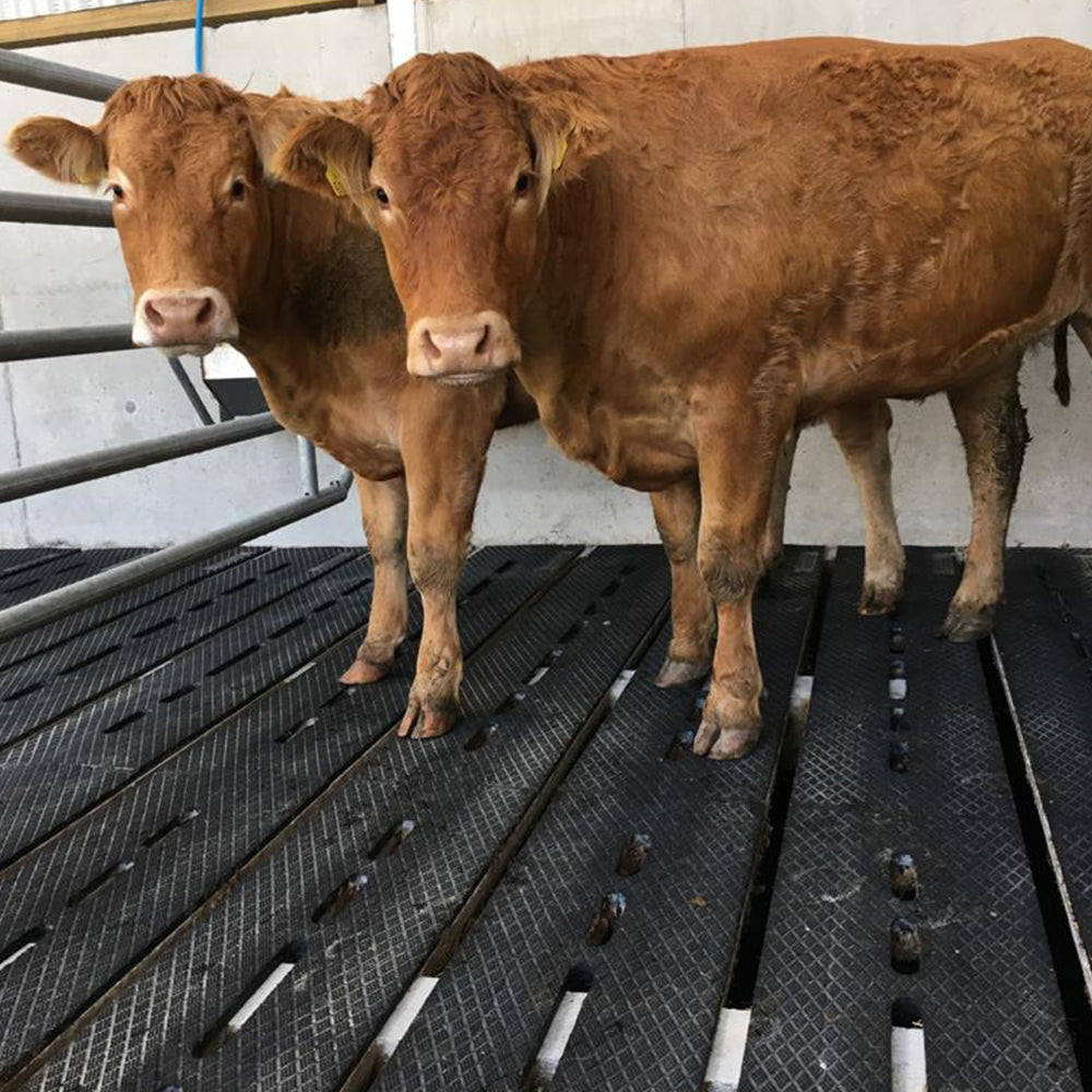 Easyfix   category image12