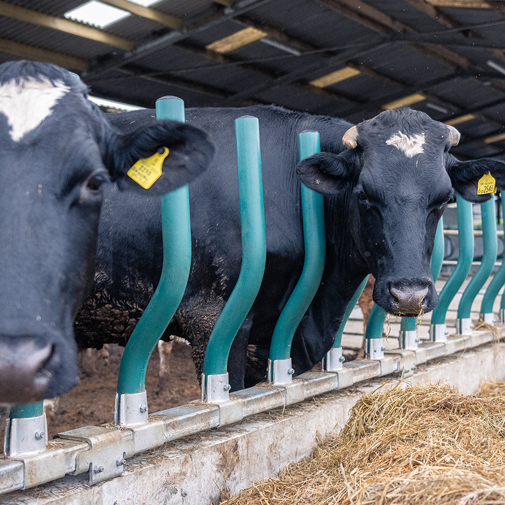 Easyfix   category image3