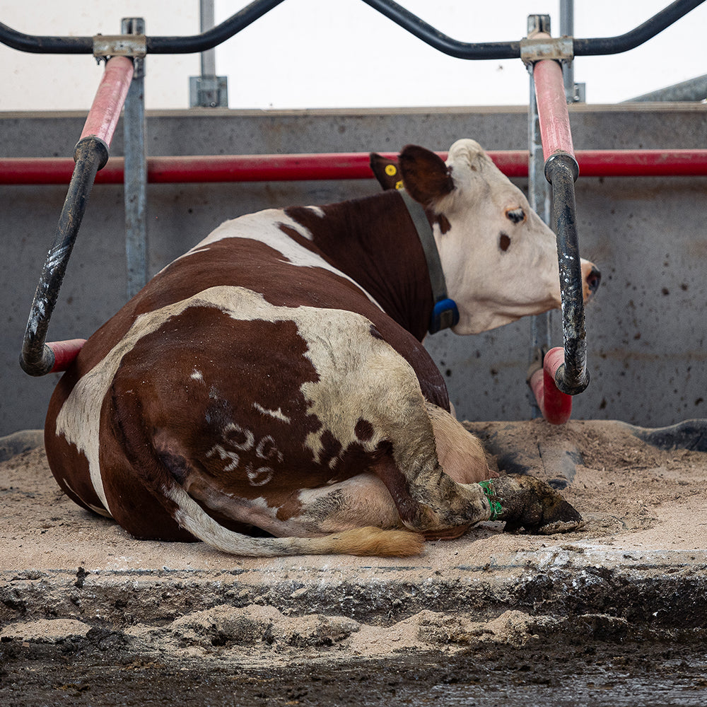 Easyfix   category image6