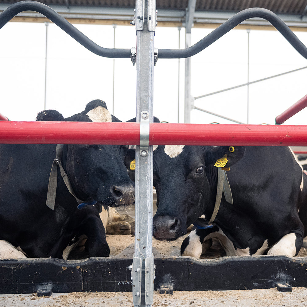 Easyfix   category image7