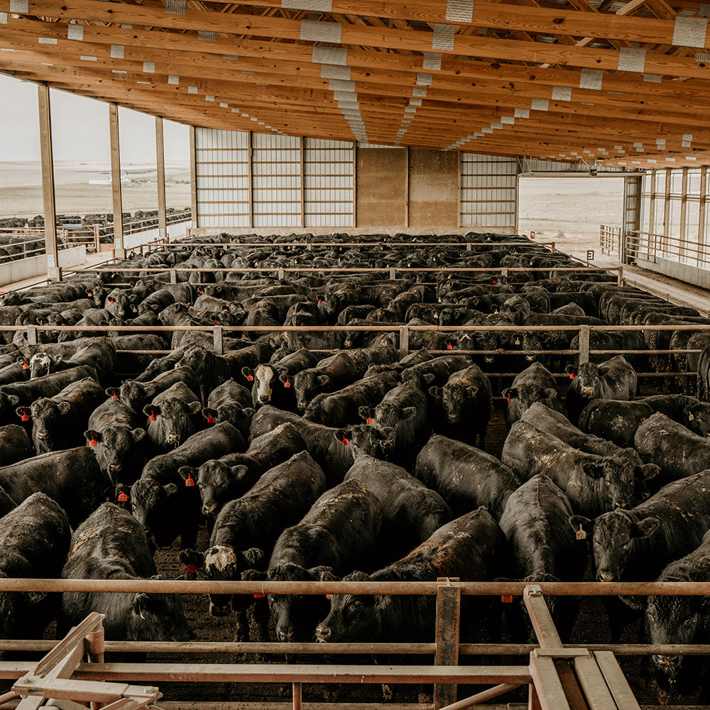 Easyfix   category image8