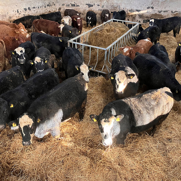 Premier Cattle Feed Saver Bunker