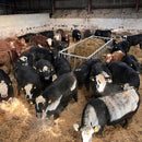 Premier Cattle Feed Saver Bunker-13