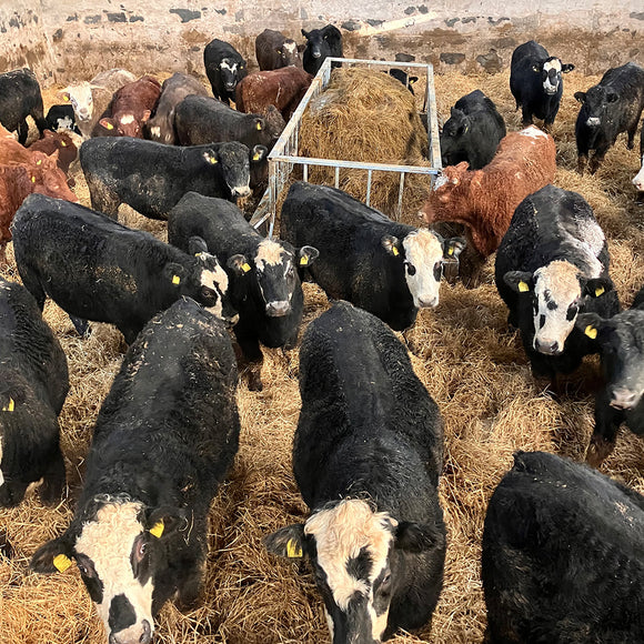 Premier Cattle Feed Saver Bunker