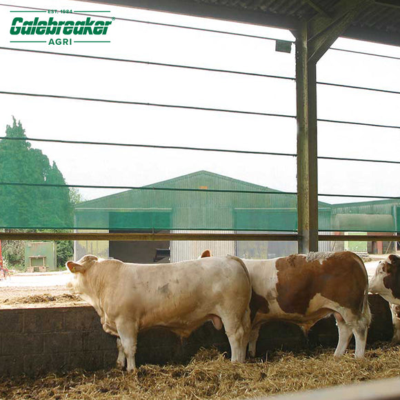 Galebreaker Bayscreen