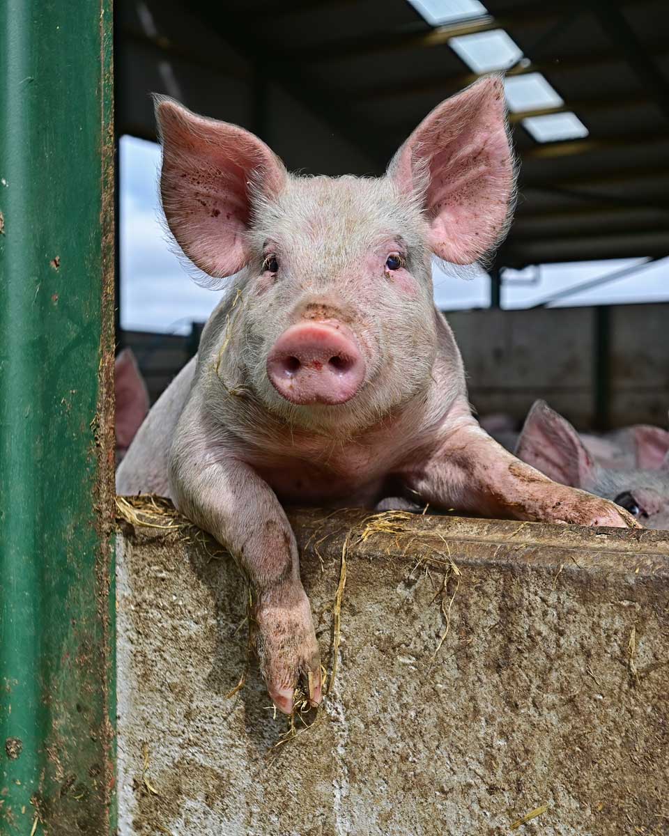 Gallery image 1 3 d0736ff8 06ed 4123 b487 84958008d6e4