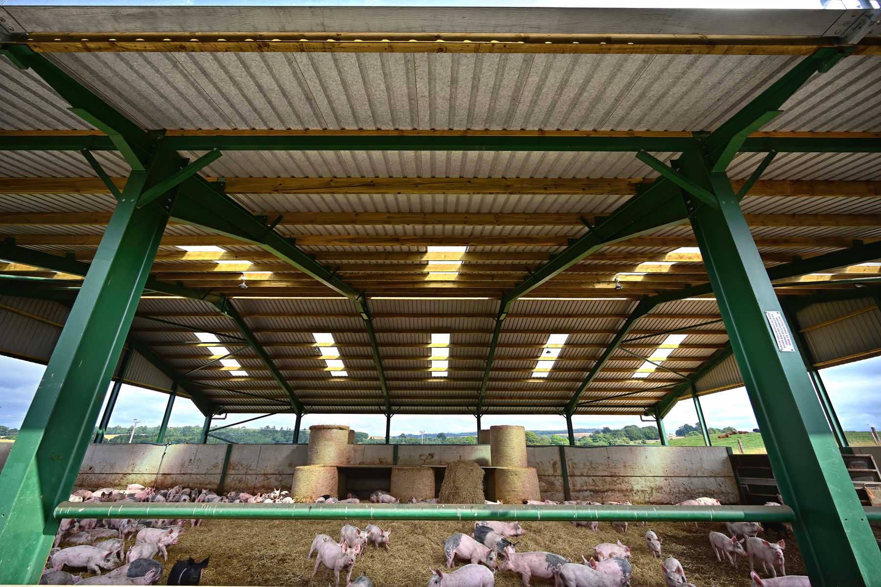 Gallery image 4 2 894ce59a 605a 4606 a5fb b0c105c10961