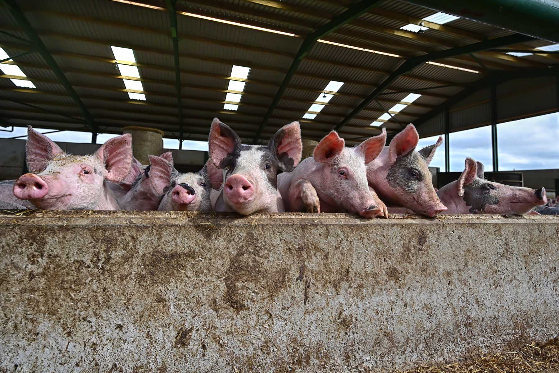 Highlight image 1 1 ae075164 9c68 4fb5 b596 6b016a896053