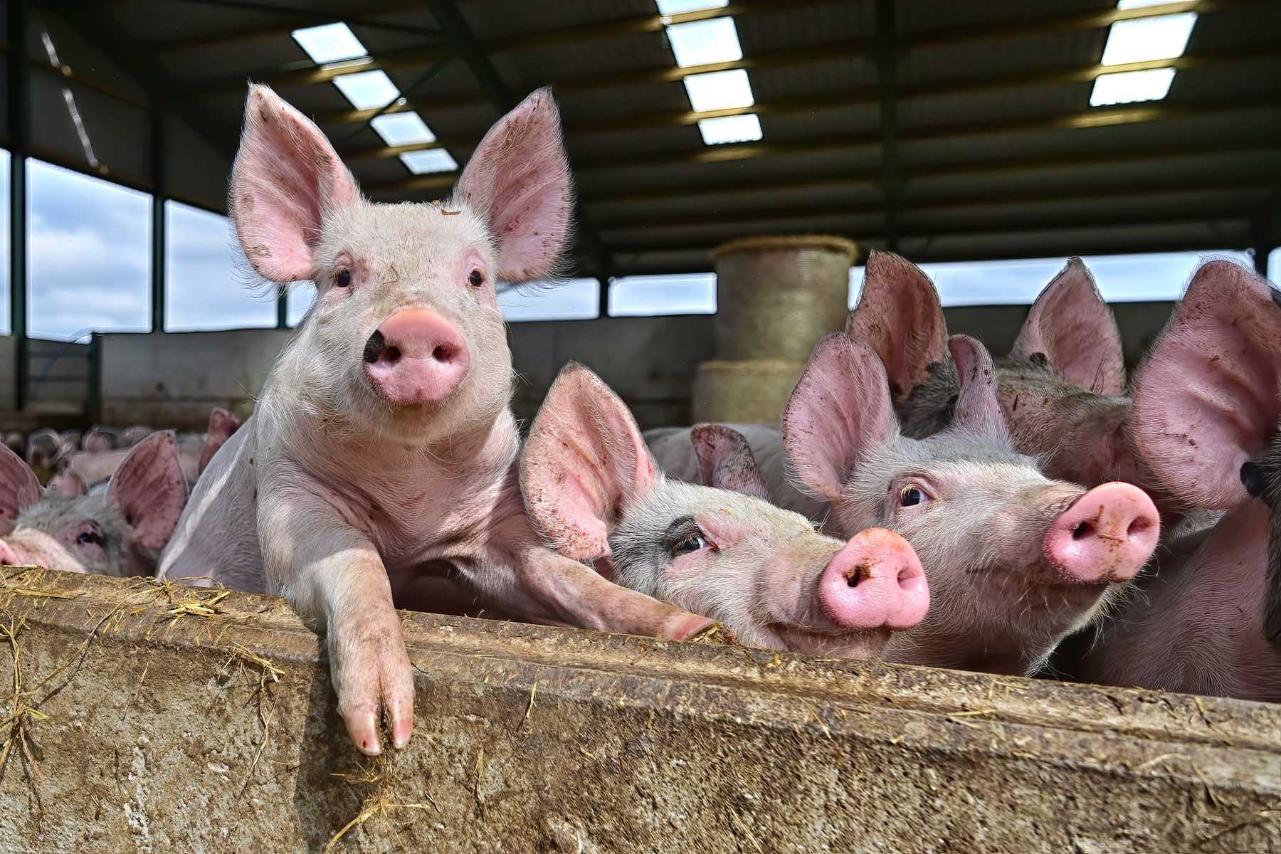 Highlight image 3 92f1ff27 2fc3 464d 92d3 b55c93b5045d