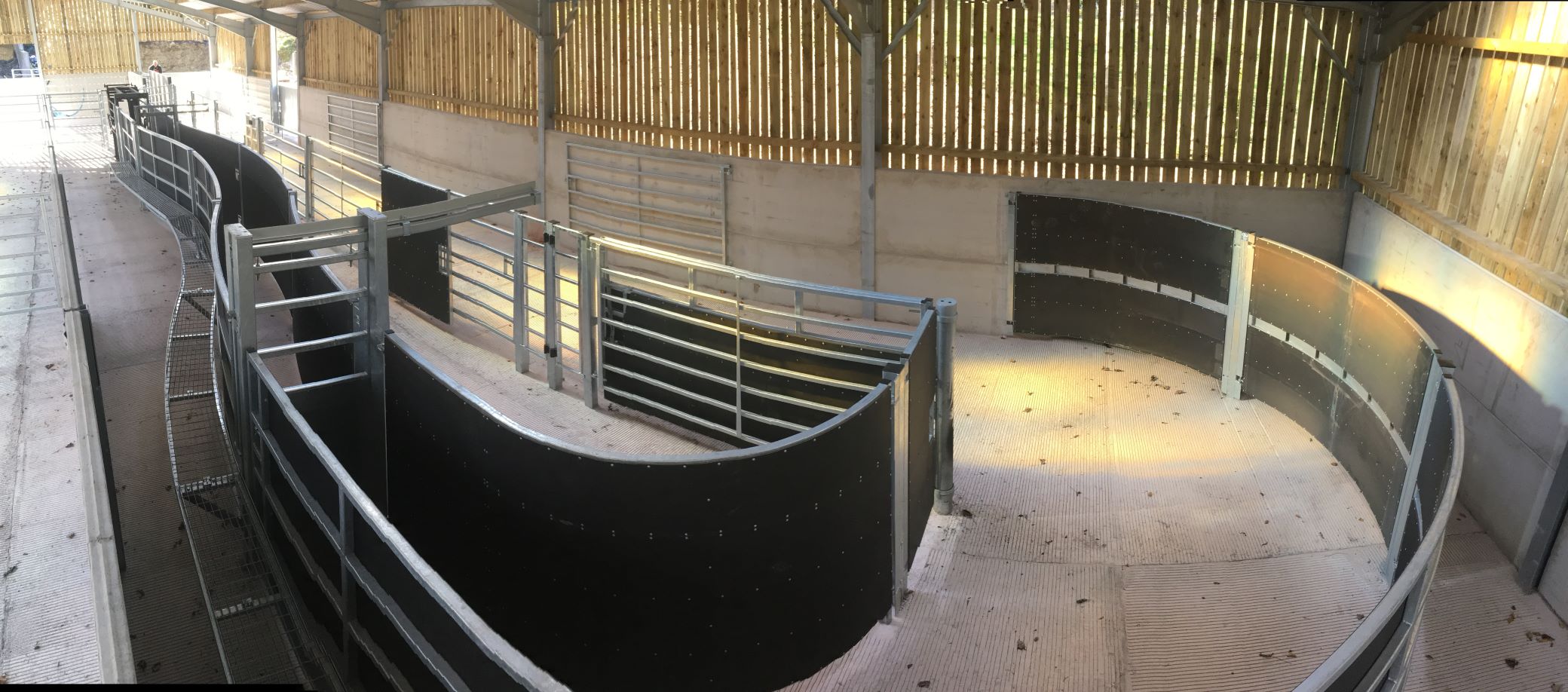 Highlight image 3 cattle handling