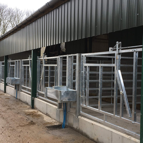 Internals   cattle court