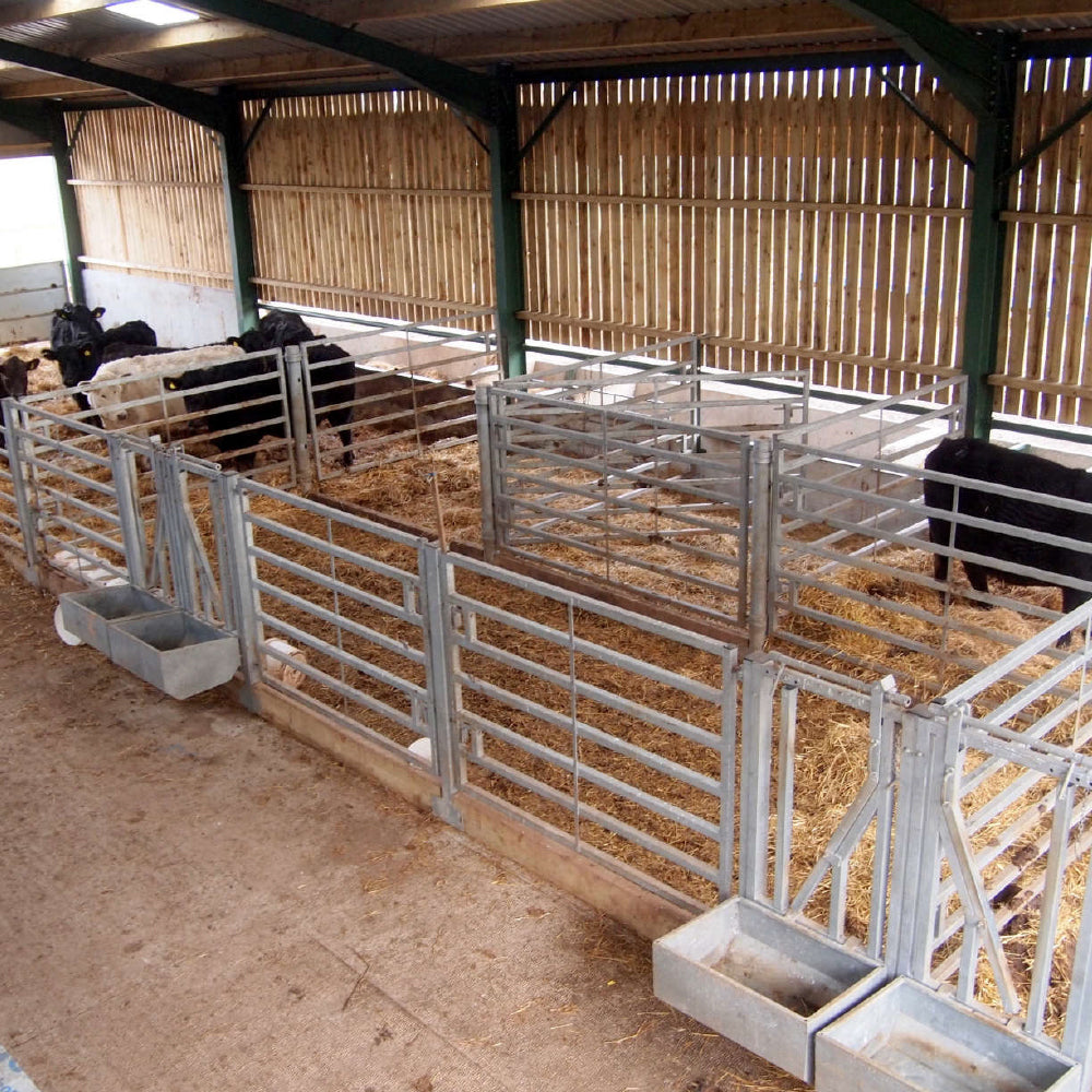 Internals   cattle court1