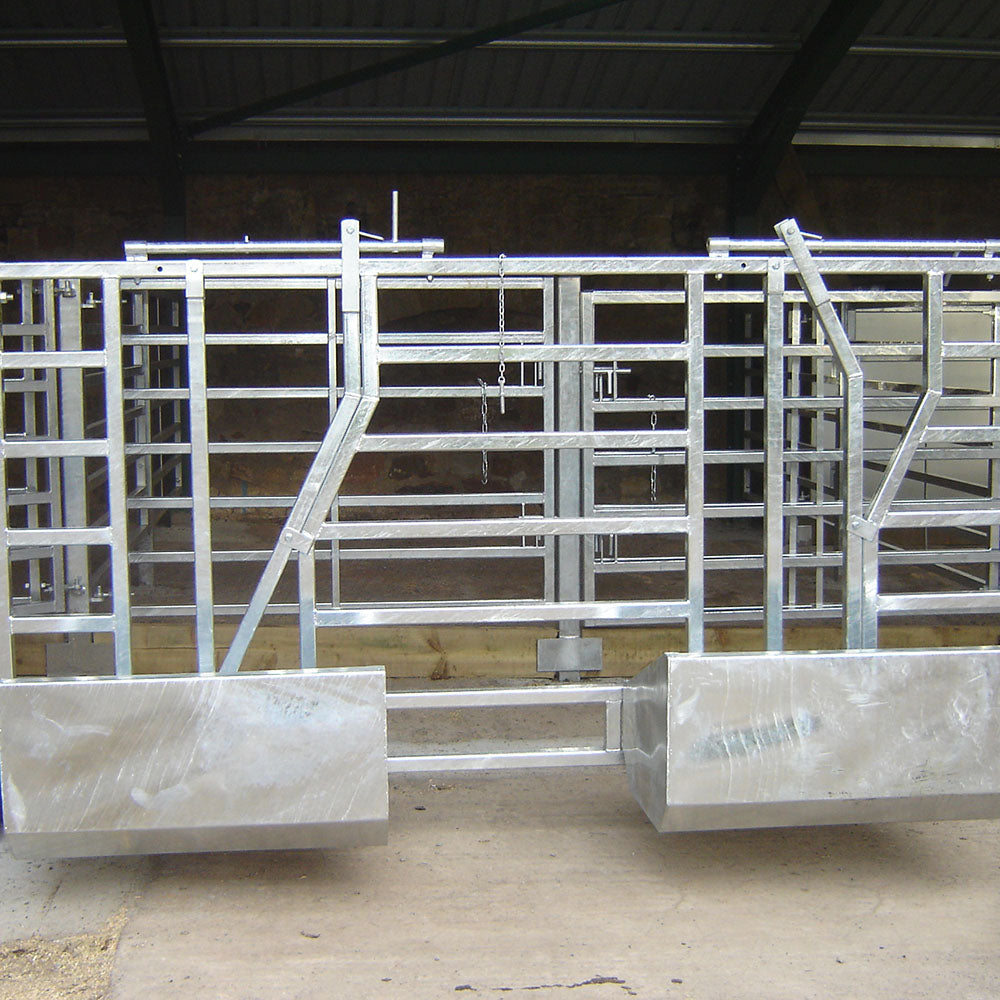 Internals   cattle court12