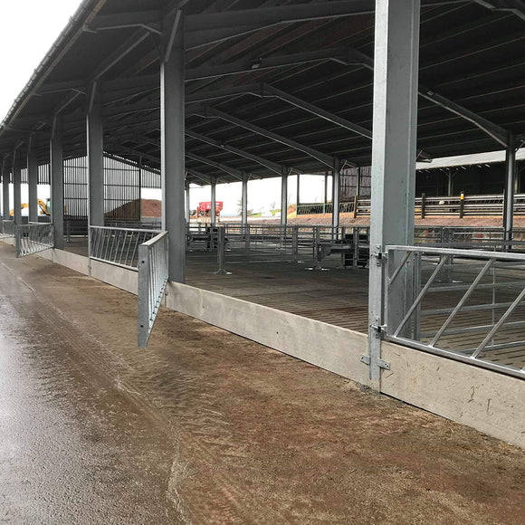 Internals   cattle court14