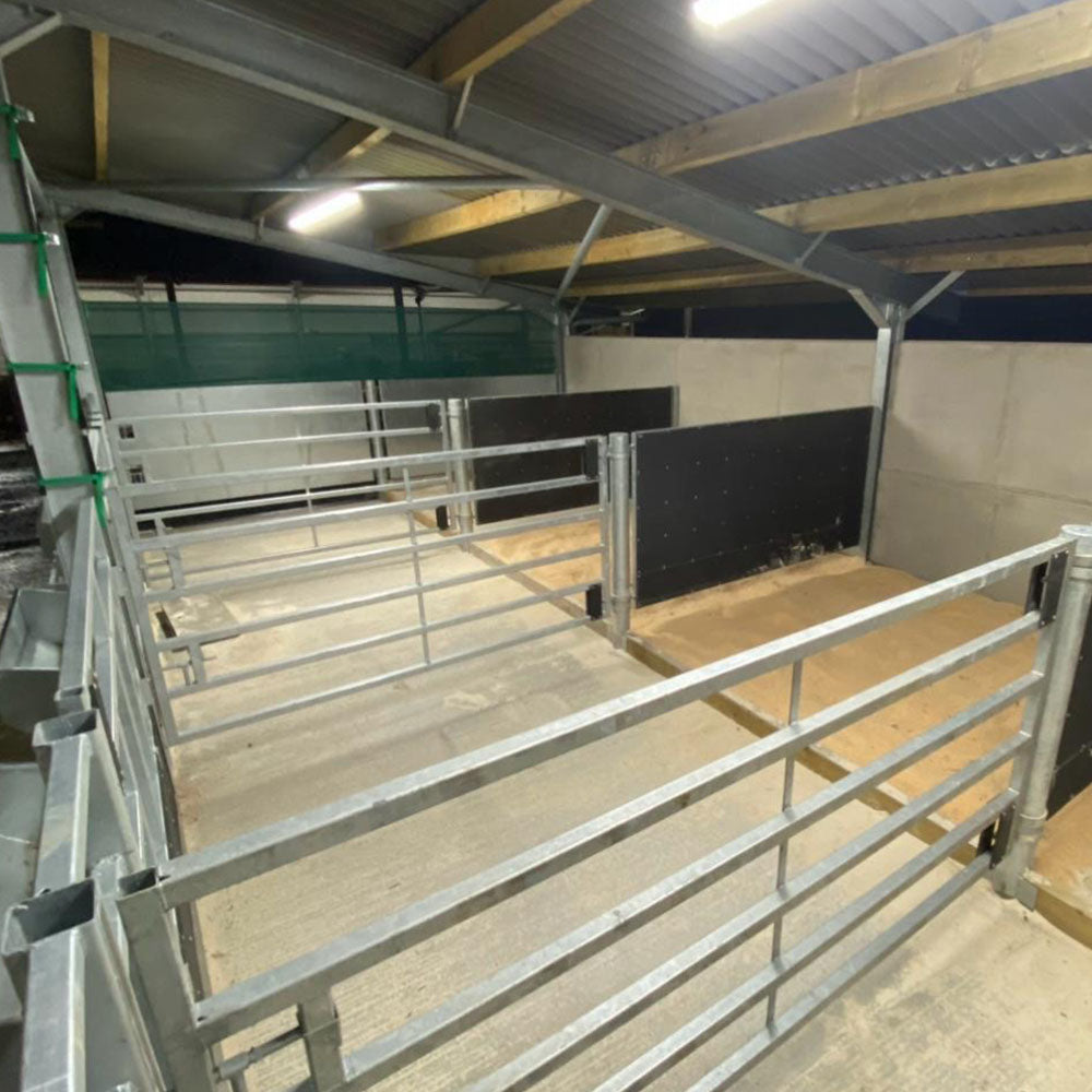 Internals   cattle court15