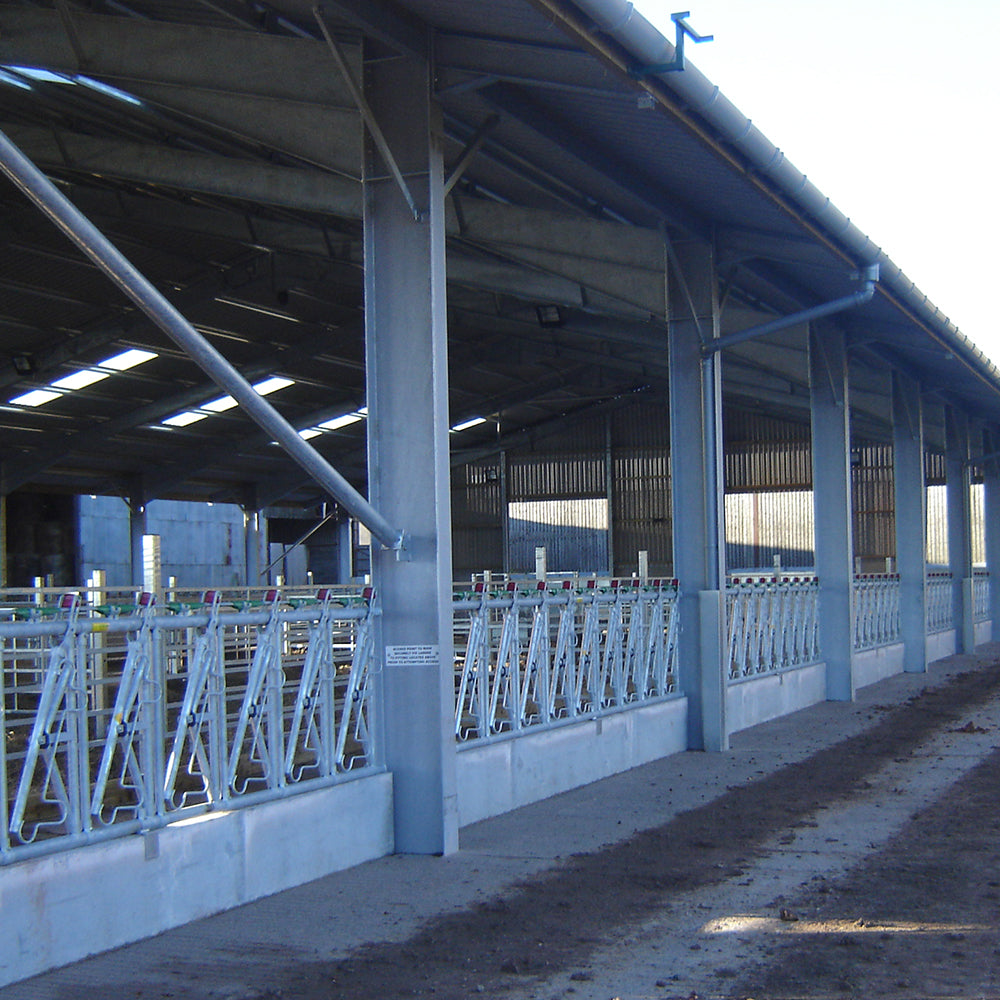 Internals   cattle court4