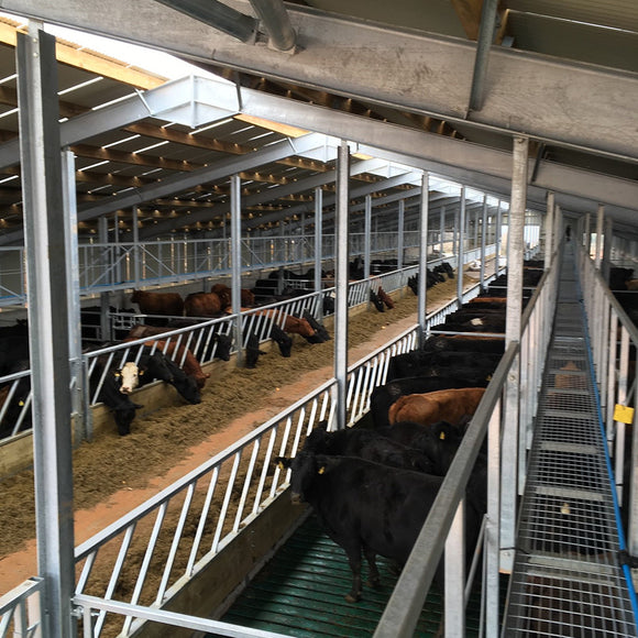 Internals   cattle court5