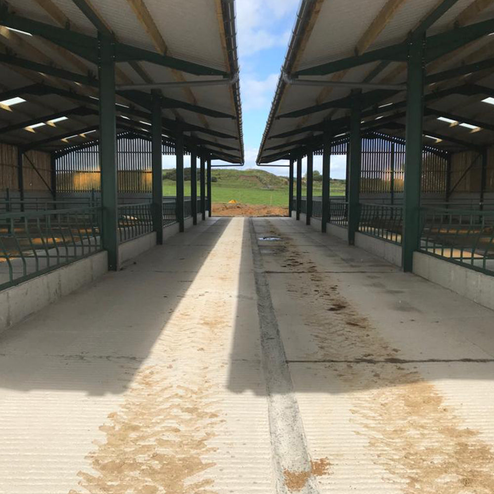 Internals   cattle court7