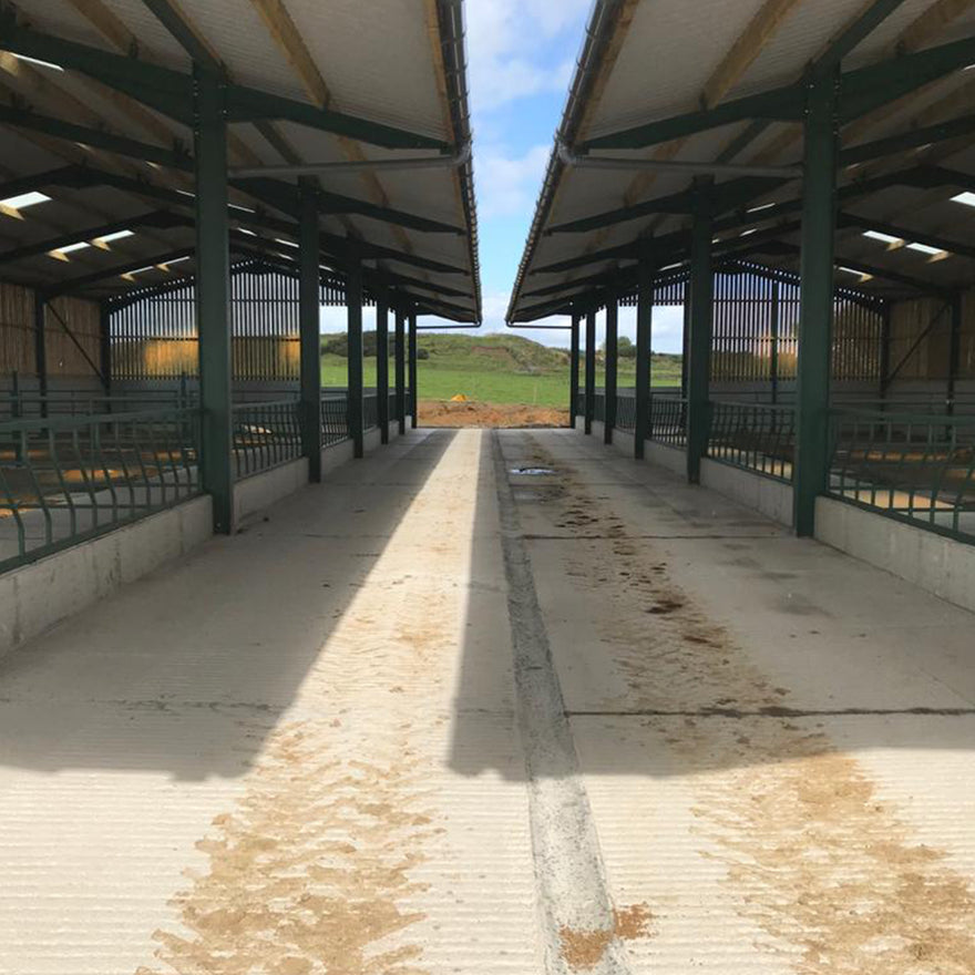 Cattle Courts | Bespoke High Quality Steel Construction | Thorburn Group