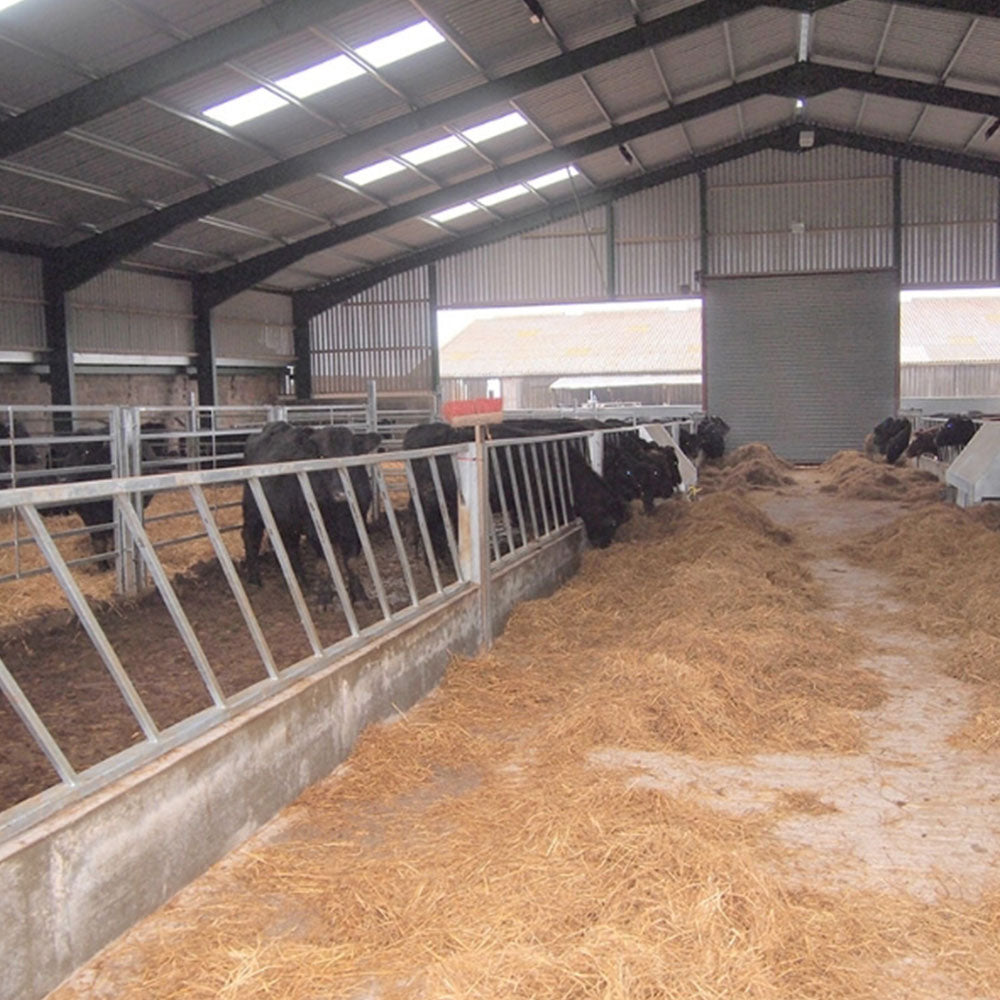 Internals   cattle court8