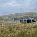 Premier Mobile Cattle Handling Trailer-3