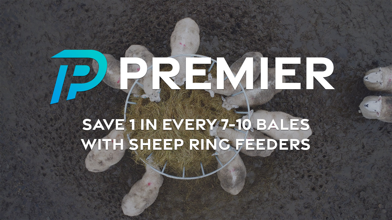 Watch our Premier Ring Feeders in action