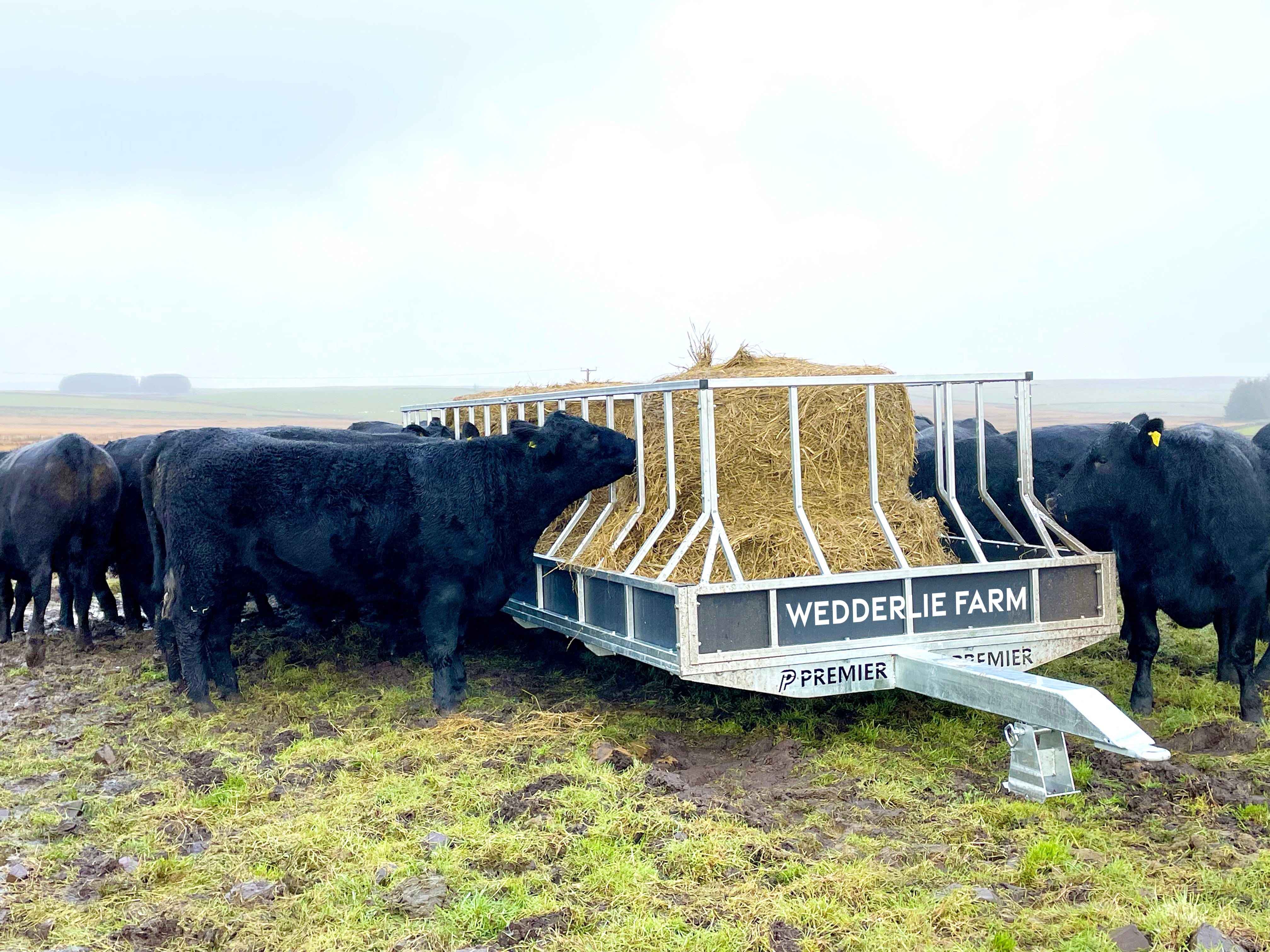 Premier cattle feed saver trailer   wedderlie farm