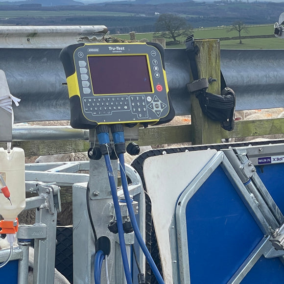 Tru Test XR5000 being used with the Clipex Automatic Sheep Handler.