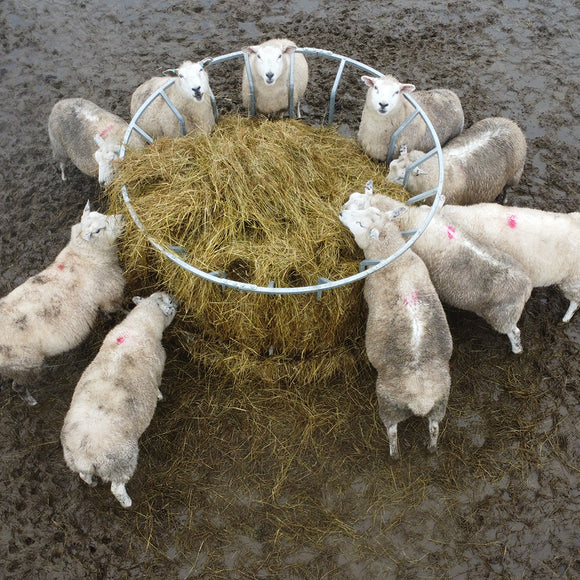 Premier Sheep Ring Feed Saver